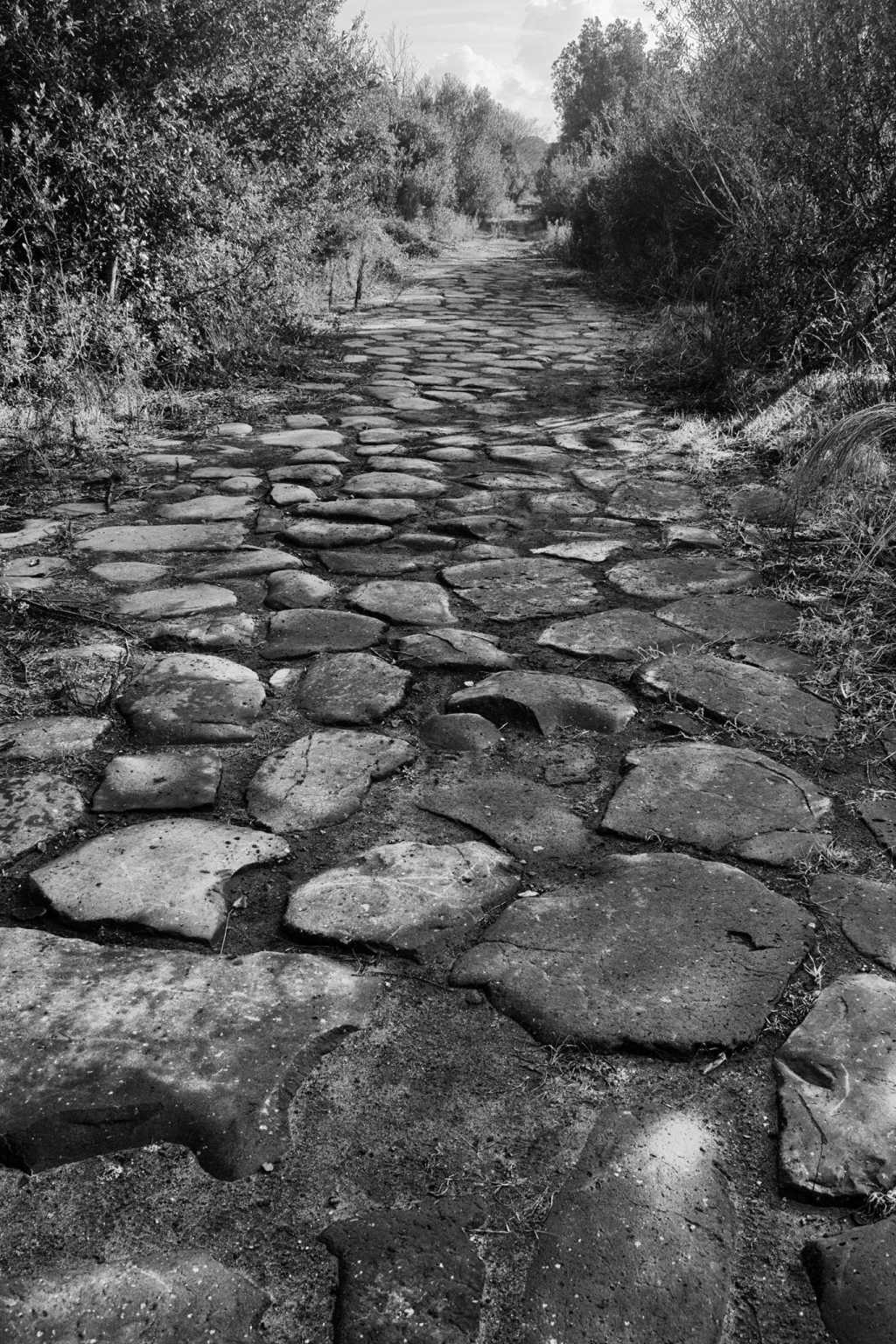 La Via Severiana a Ostia